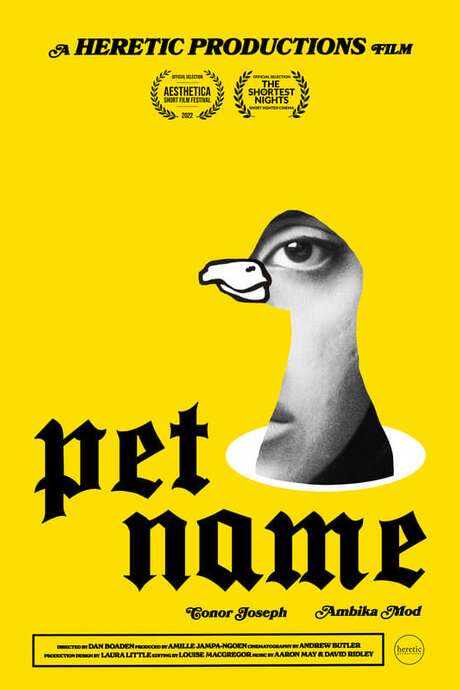 Pet Name